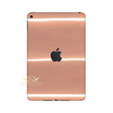 for Apple iPad 10.2 7th Gen (2019)